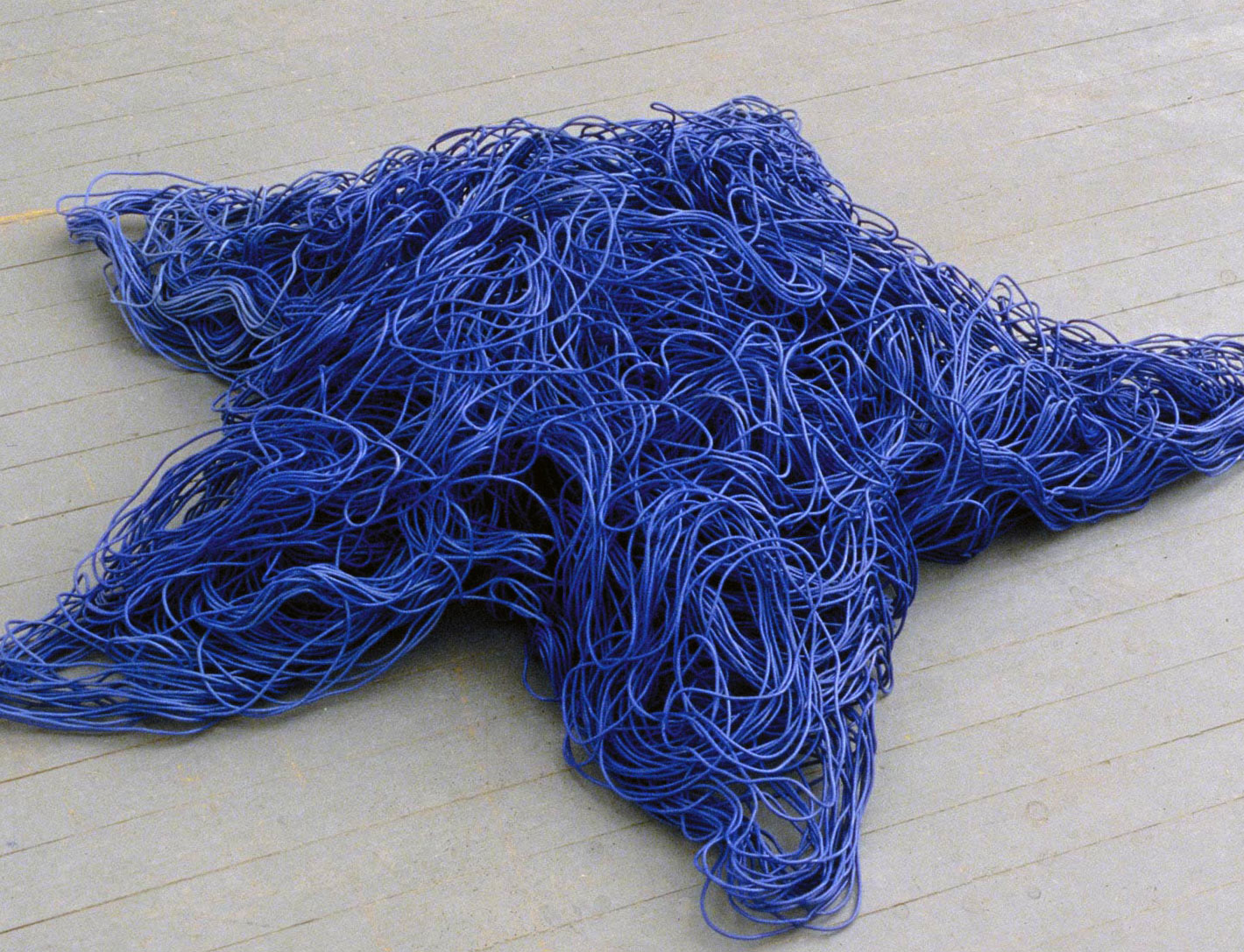 Blue starfish