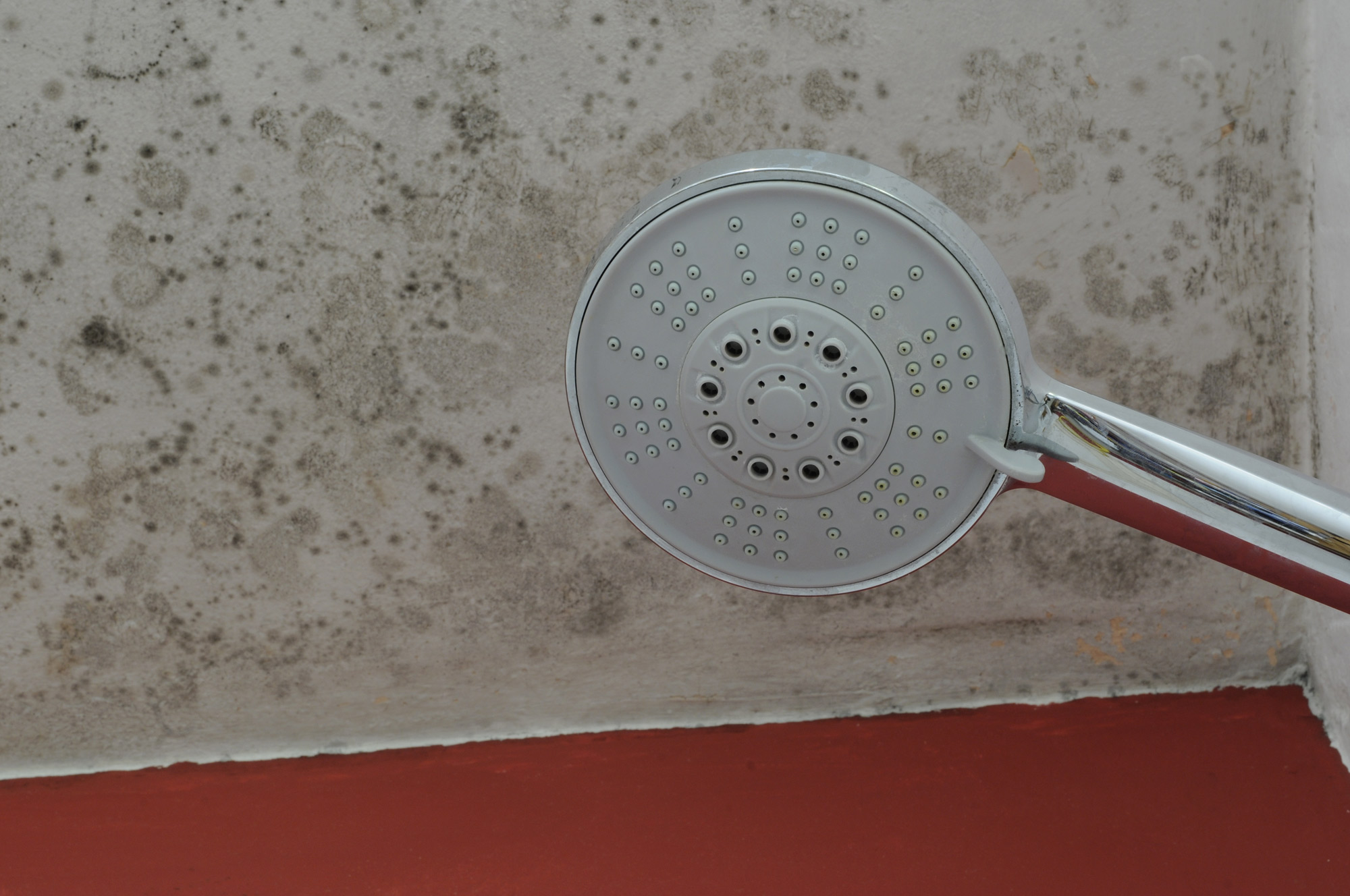maarten greve bathroom