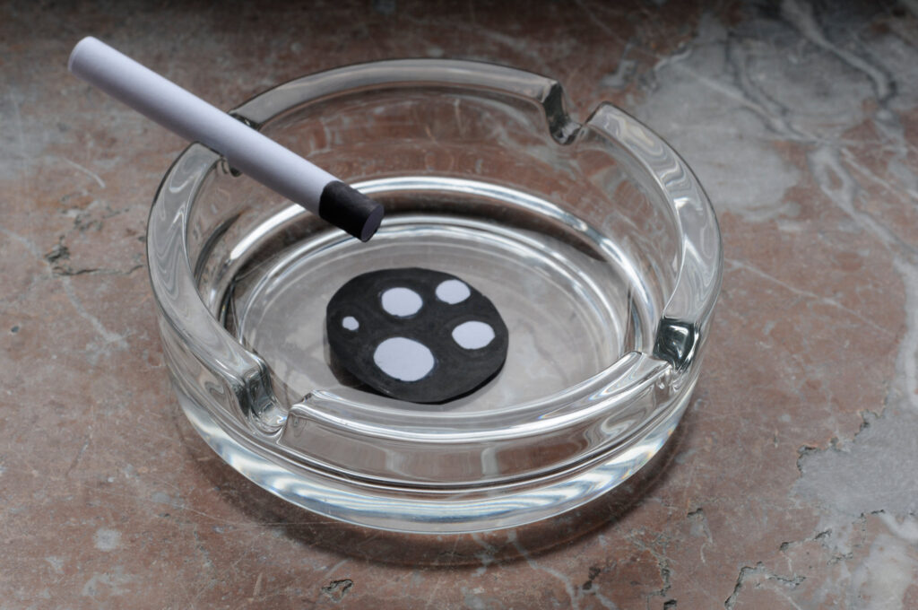 maarten greve ashtray